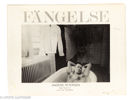 Anders Petersen, Fängelse