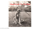 Two Books by Elliot Erwitt