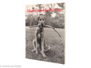 Two Books by Elliot Erwitt