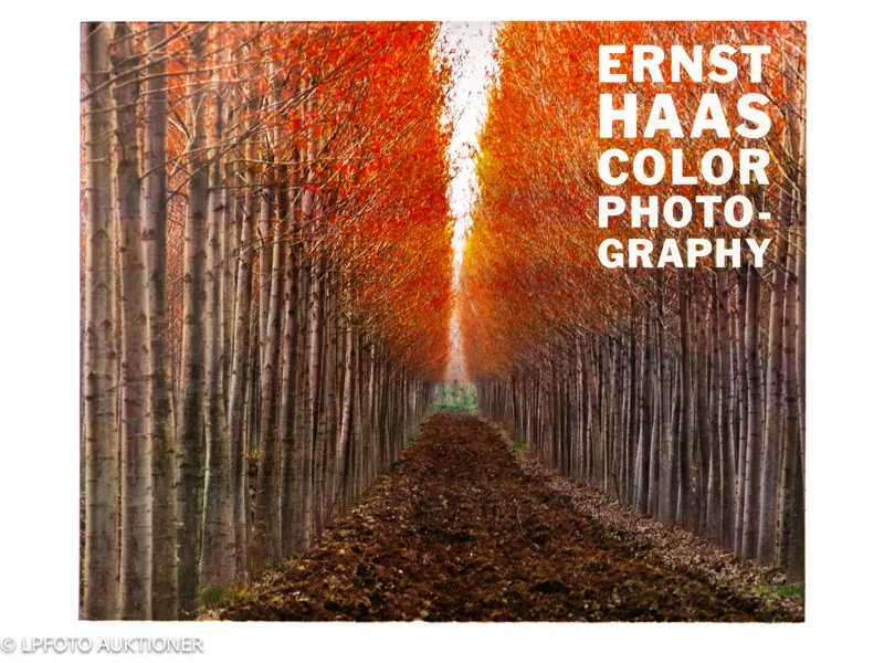 Ernst Haas. A Color Retrospective 1952-1986