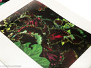 Ernst Haas. A Color Retrospective 1952-1986