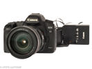 Canon EOS 5D Mark II No.1230824098