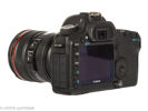 Canon EOS 5D Mark II No.1230824098